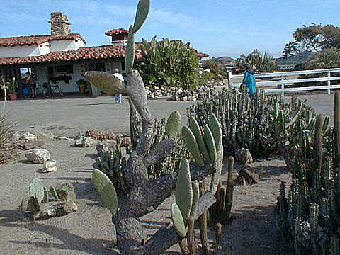 The airport on Catalina