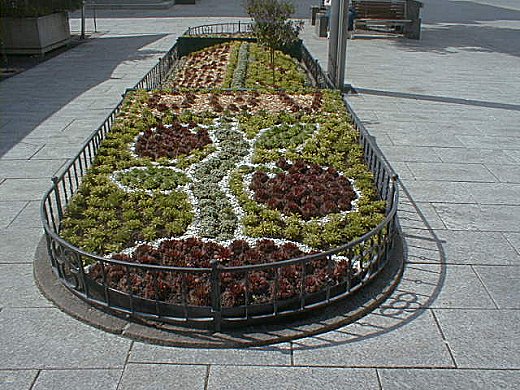 Vaduz: Flowerbed in Town Square 