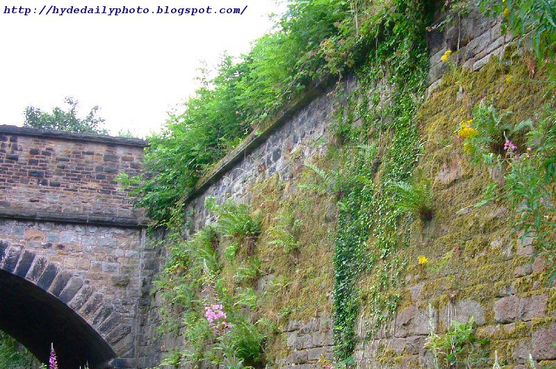 Old Railway Cutting Wall