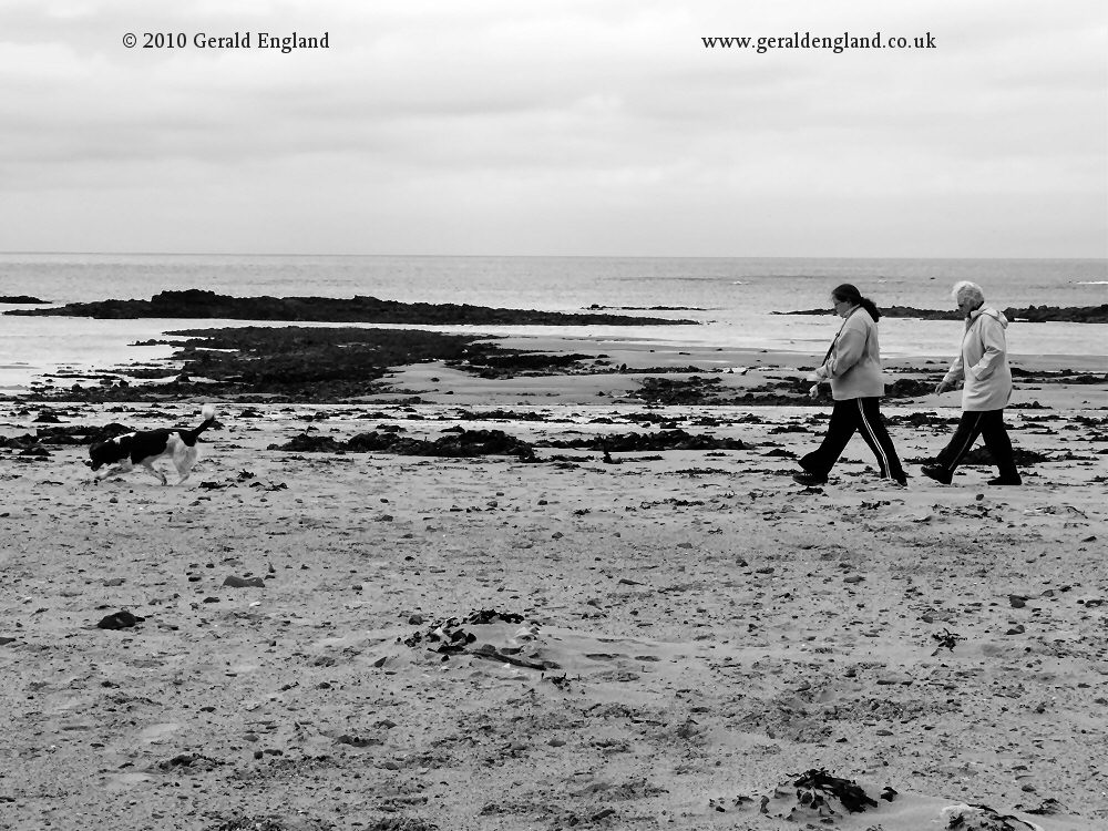 Les Laveurs: Walking the Dog