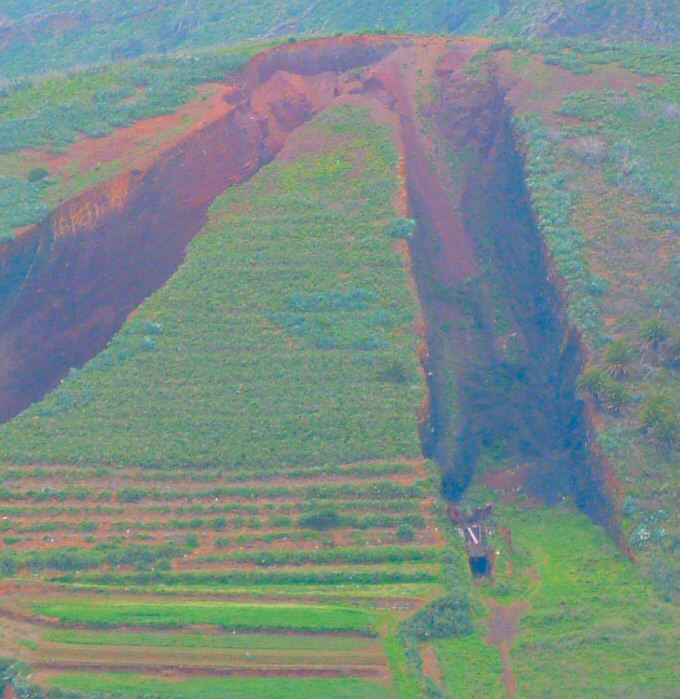 El Palmar: Excavations of La Montañeta<