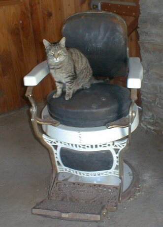Cat on Dentist's Chair at  Old Cromwell Museum