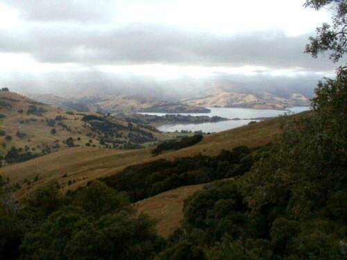 Barry's Bay from Ridgecroft, Banks Peninsula