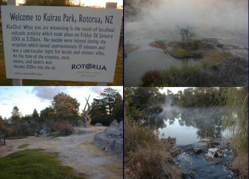 Kuirau Park, Rotorua: a collage
