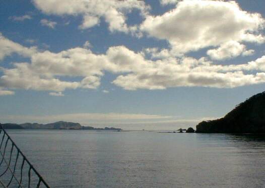 Bay of Islands: View from R Tucker Thompson