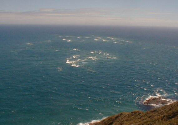Cape Reinga: Meeting of the waters (Pacific Ocean & Tasman Sea)