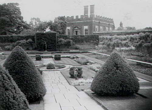 Hampton Court Palace Gardens, May 1961