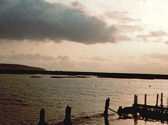 Keyhaven: View towards The Needles, January 1984