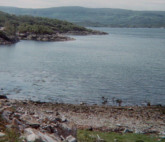 Loch Sunart, June 1976
