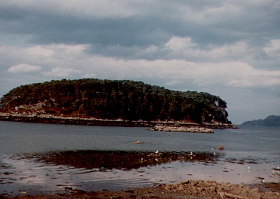 Shieldaig Island, September 1980