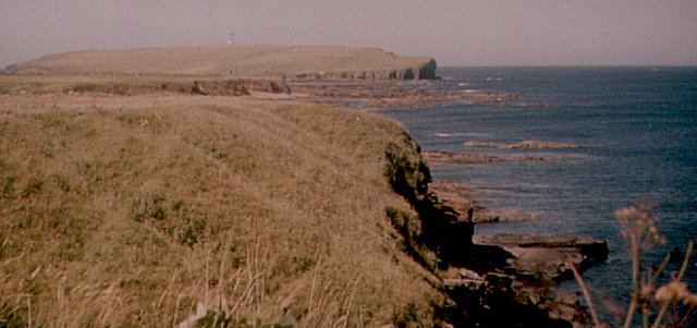 Brough of Birsay, August 1985