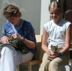 Reykjavik kitten named Cleo Laine