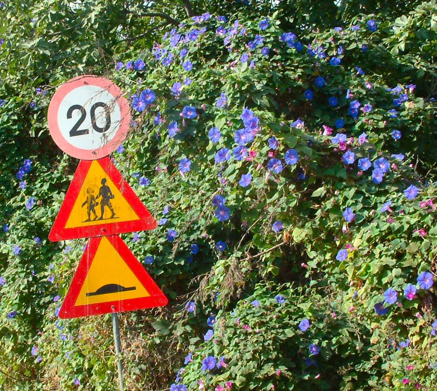 Maleme: The Road to School