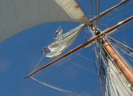 Bay of Islands: Roger unfurling the sail