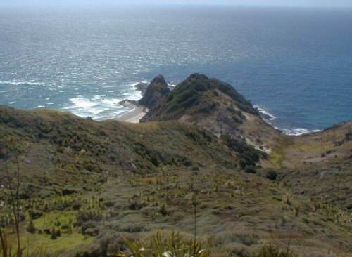 Cape Reinga: Looking North
