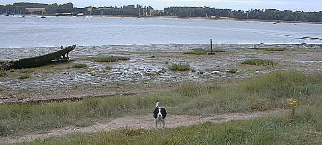 Nacton: River Orwell, July 1999
